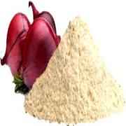 Adani Onion Powder