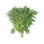 SOAP NEEM