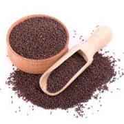 RAMDEV MUSTARD SEEDS
