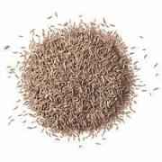 SW CARAWAY SEED