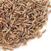 Spicy World Cumin Seeds