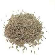SW DILL SEED