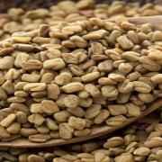 Swagat Methi Seeds