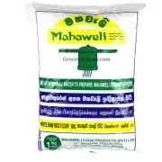 Mahaweli String Hopers