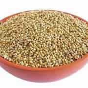 Himalayan Pearl Millet