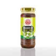 777 CORIANDER LEAF CHUTNEY