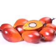 Palmnuts