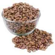 PSO Rajma Chitra