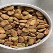 Zergut Fava Beans Large