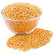 SH Mong Dal