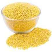 SH Mong Dal