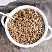 SADAF SUNFLOWER SEED
