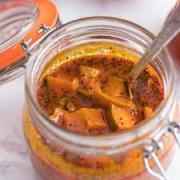 LX GUNDA PICKLE