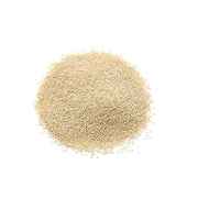 SH Poppy Seeds