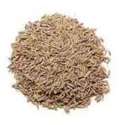 VT Cumin Seed
