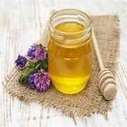 Indo Acacia Honey