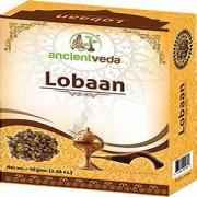 AV LOBAAN