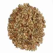 HB HORSE GRAM