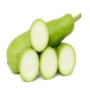 OPU
