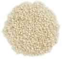 SESAME SEEDS