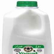 KAROUN YOUGRT DRINK MINT