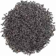 CQ POPPY SEED