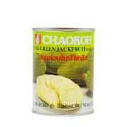 Chaokoh Green Jack Fruit Can 