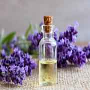 HM LAVENDER OI