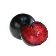 BOX SOUR PLUM