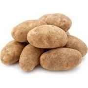 RUSSET POTATOES