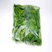 Spinach Cello