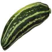 ZUCHINI