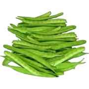 GUVAR