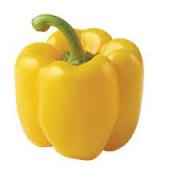 BELL PEPPER YELLOW