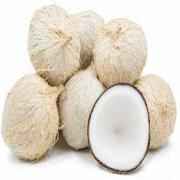 COCONUT WHITE