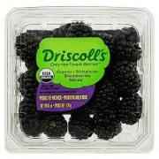 DRISCOLLS BLACK BERRIES 