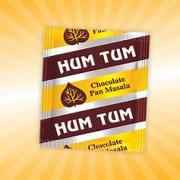 Hum Tum