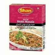 SHAN BRAIN MSL