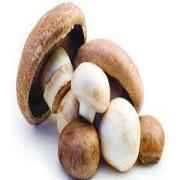 MUSHROOM WHOLE