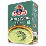 MDH Chutney Pudina