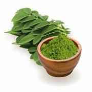 MORINGA