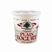 ARZ PLAIN YOGURT 