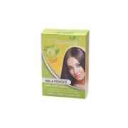 Noorani Amla Powder