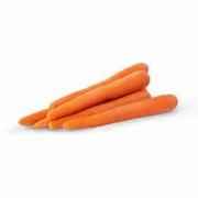 CARROT