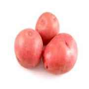 POTATO RED