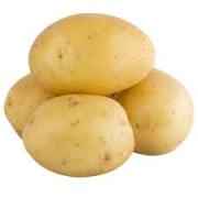 POTATO WHITE