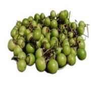 GUNDA