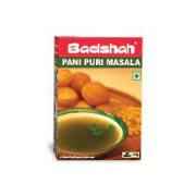 BADSHAH PANIPURI MASALA