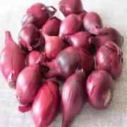 PEARL ONION