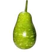 SQUASH BENGALI